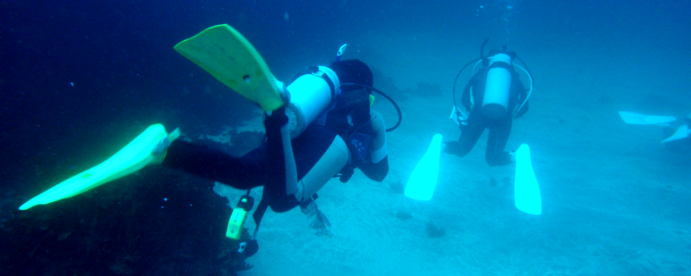 体験ダイビング|1日2ダイブのプラン