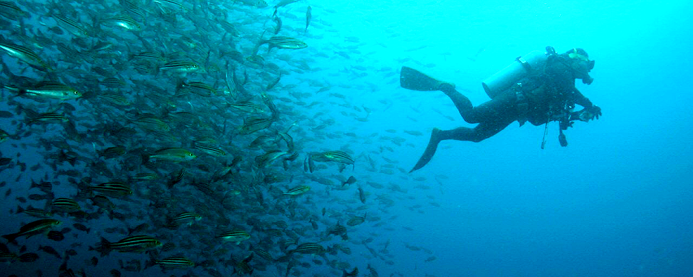 富戸ファンダイビング|アクオスーイズ
