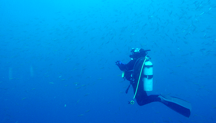 静岡 伊豆 高原のダイビングショップ